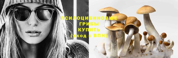 гашик Михайловка