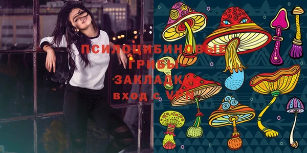 гашик Михайловка