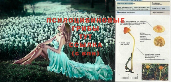 амф Михайлов