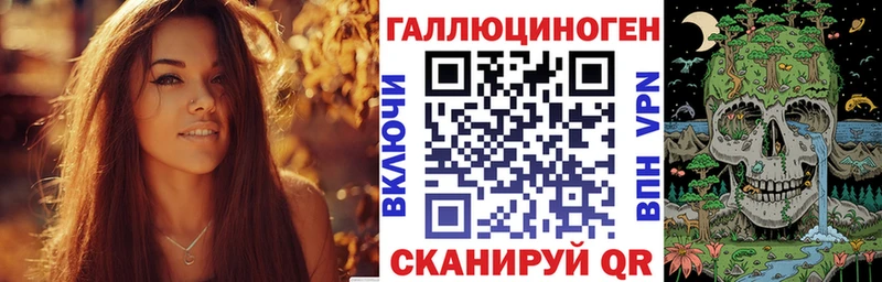 Купить закладки  Циолковский  Псилоцибиновые грибы ЛСД 